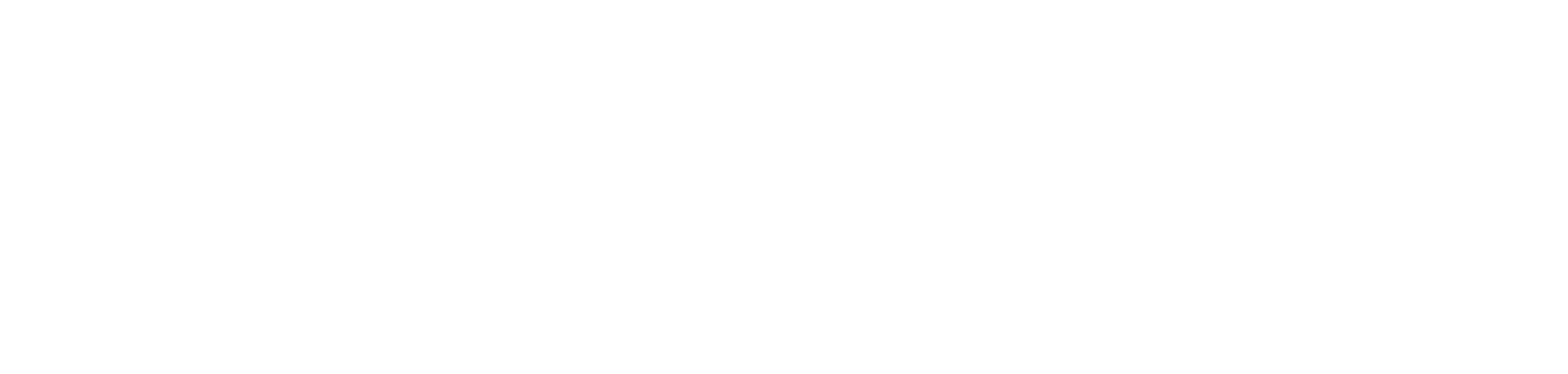NorthStar-white-Logo